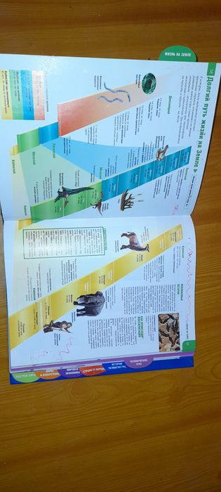 Только факты книга