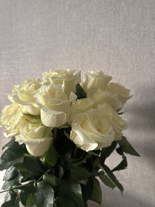Продам цветы дешево