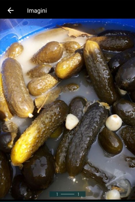 Varza Murata cal.1 doc de transport si vanzare