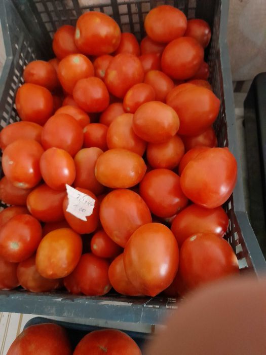 Продам свои семена помидор и перца.