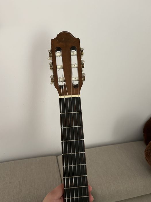 Chitara clasica student hora reghin 4/4