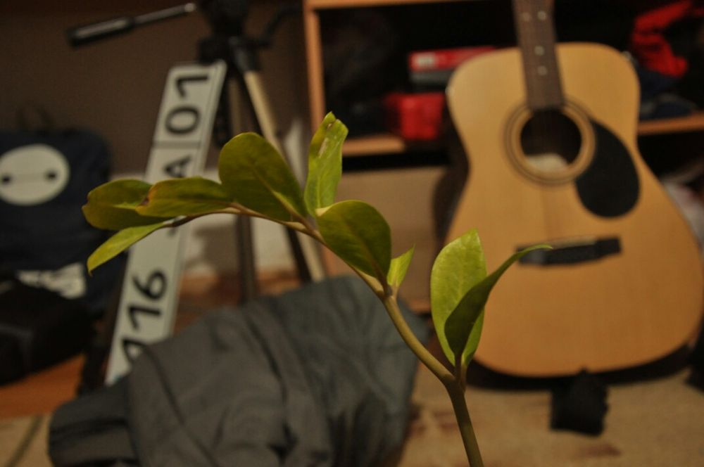 Продам Nikon D-90