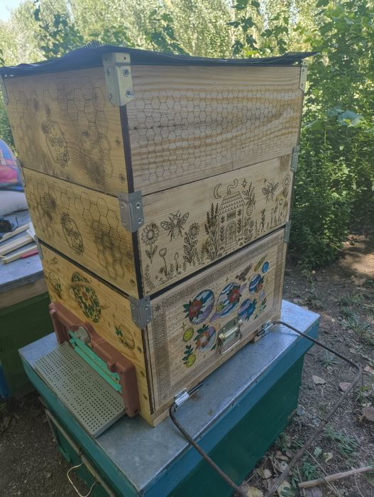 Stupi la comandă – finisaje profesionale, opțiuni variate