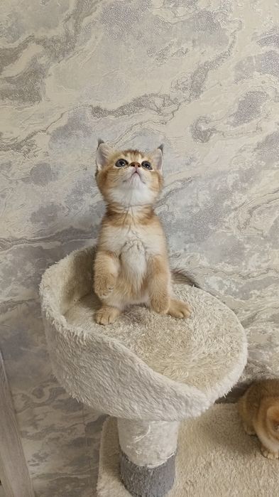 Милые прекрасные малыши