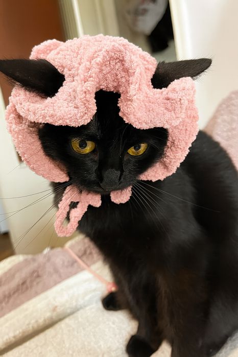 Palarie crosetata manual roz pudra pentru animale de companie