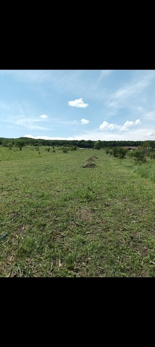 Teren intravilan in chinteni