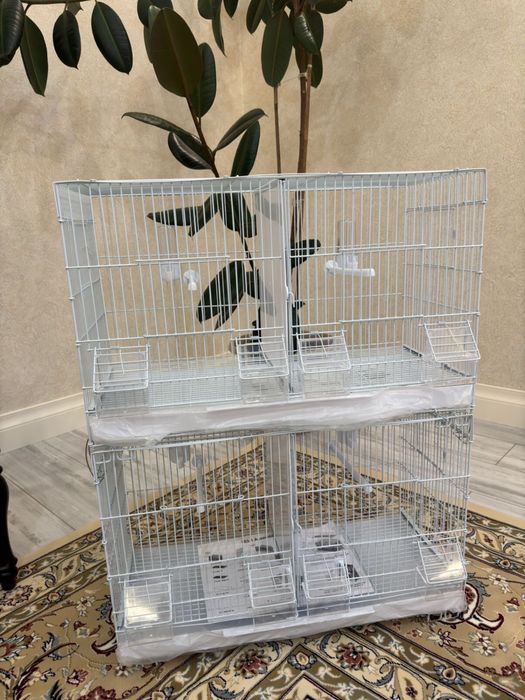 Паровичные клетки