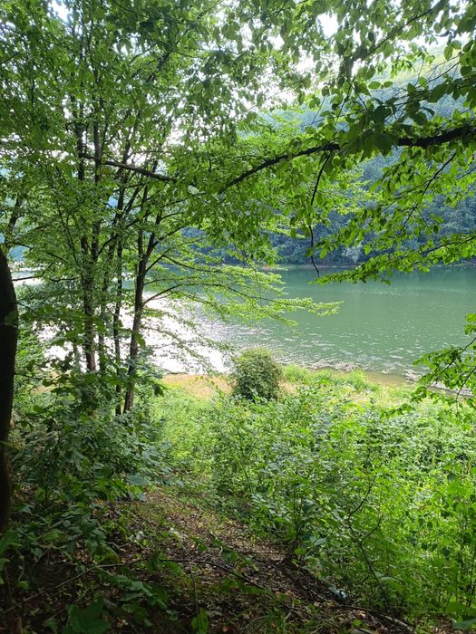 Vand pamant lac Cincis