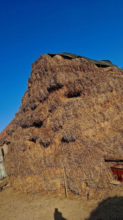 Vând baloți de paie!