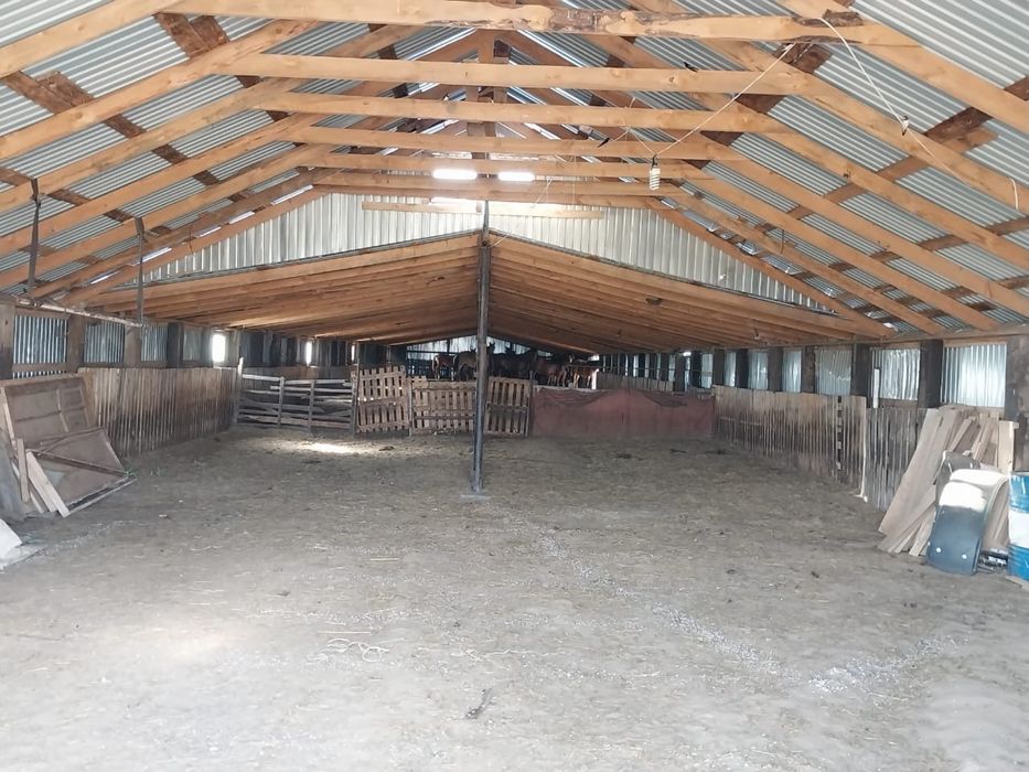 Продам крестьянское хозяйство