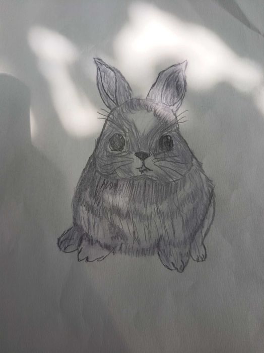 Desene A4 după placul tuturor (exemplu în poze) (fără profil portret)