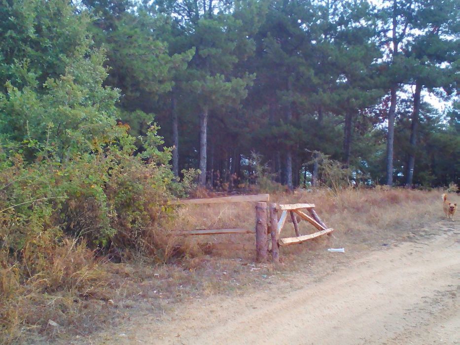 Продавам гора с.Кърналово, общ.Петрич