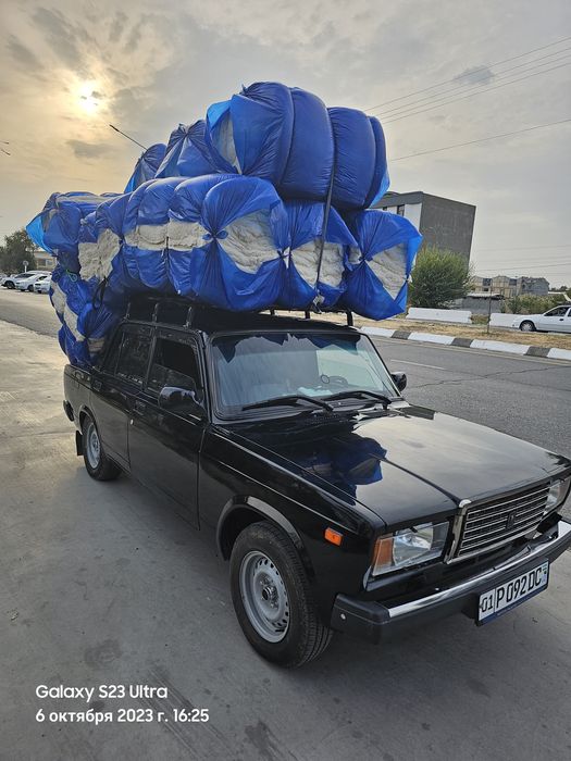 Той пахта toy paxta oq