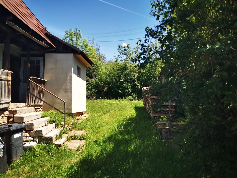 Casa de vânzare izvorul crisului