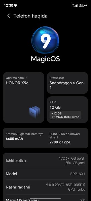 Honor X9c  12|256GB 5G karobka dakument bor telefon tinniq