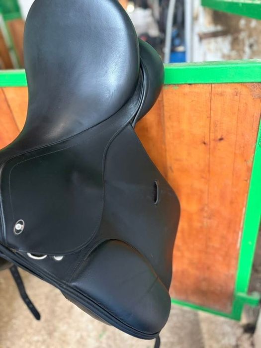 Sa dresaj Waldhausen 17.5