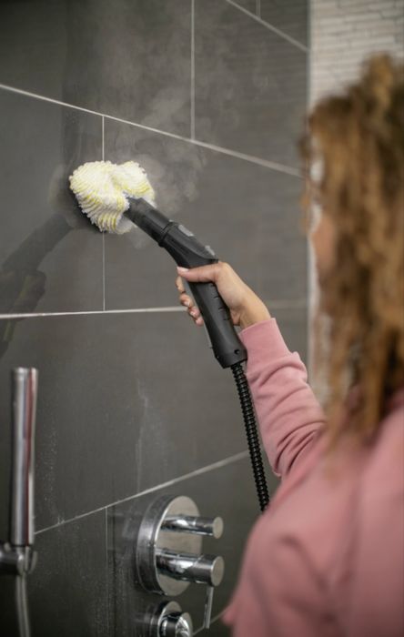 Аренда пароочистителя