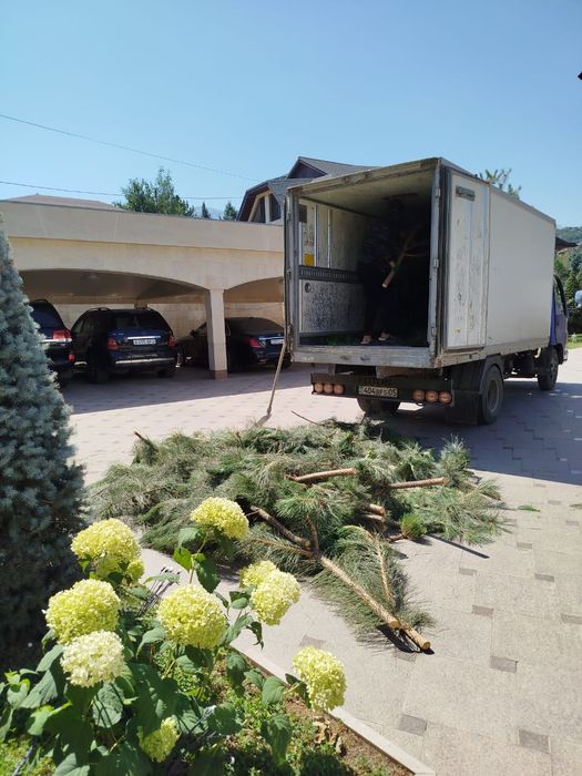 НЕ ДОРОГА вывоз мусора