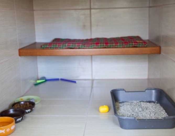 Зооотель гостиница для животных