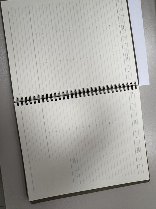 Agenda piele spirala