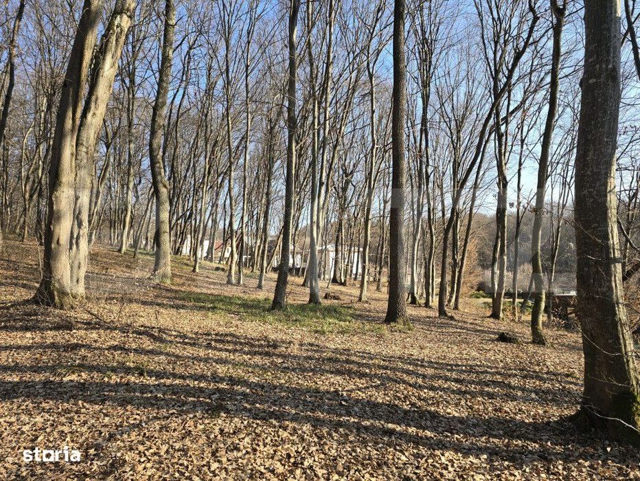 Teren cu sufrafata de 1100 mp in Padurea Faget