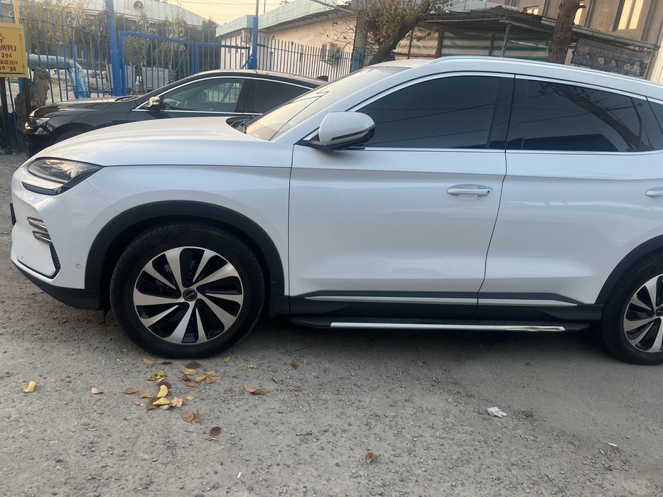 BYD champion  . 2023 год 605 краска чистая . тозза