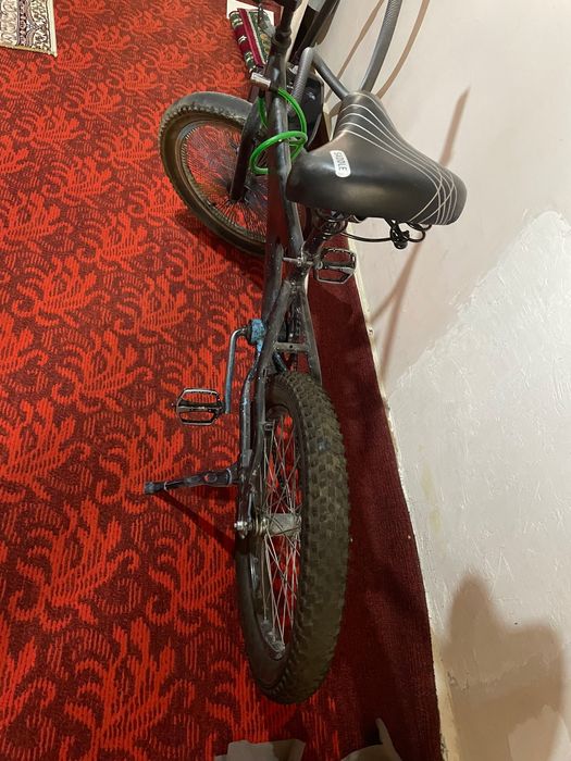 Велик чёрный средный