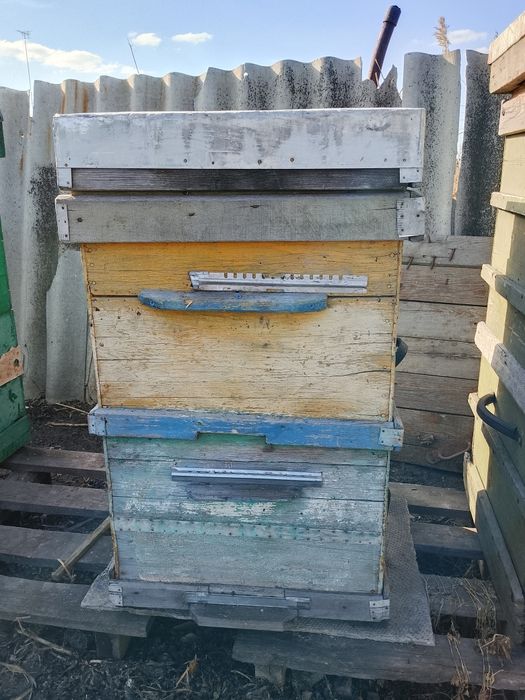 двухкорпусные улья