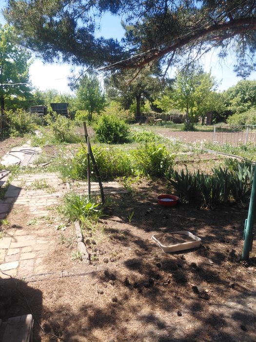 продам дачу в Михайловке