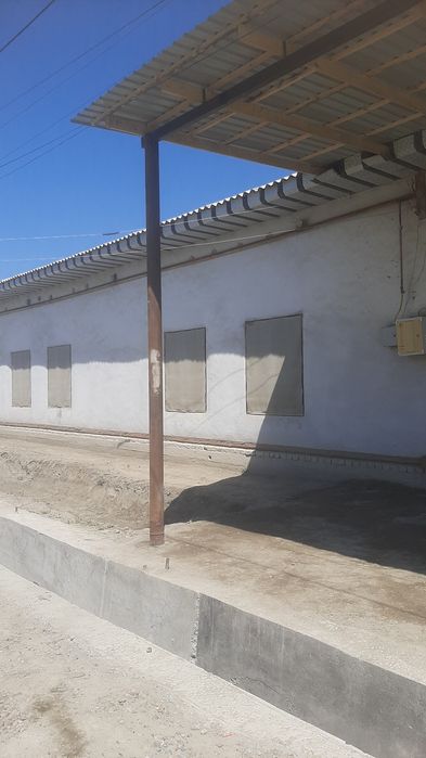 Rossiyskiy bollorlik turubalar