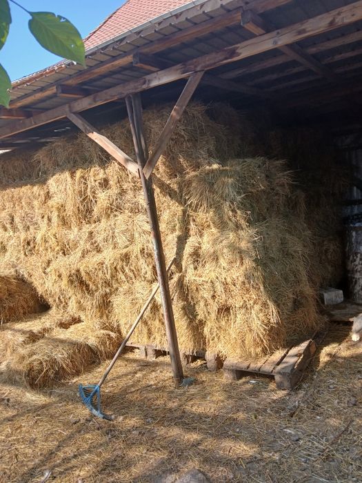 Baloți de lucernă și fân