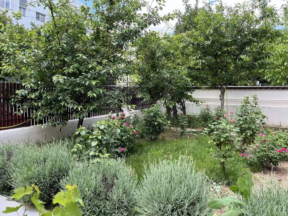 Proprietar vand casa deosebita centrul Craiovei