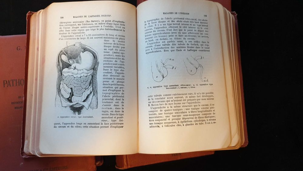 Carti vechi medicina - Manual de Patologie interna - 4 volume