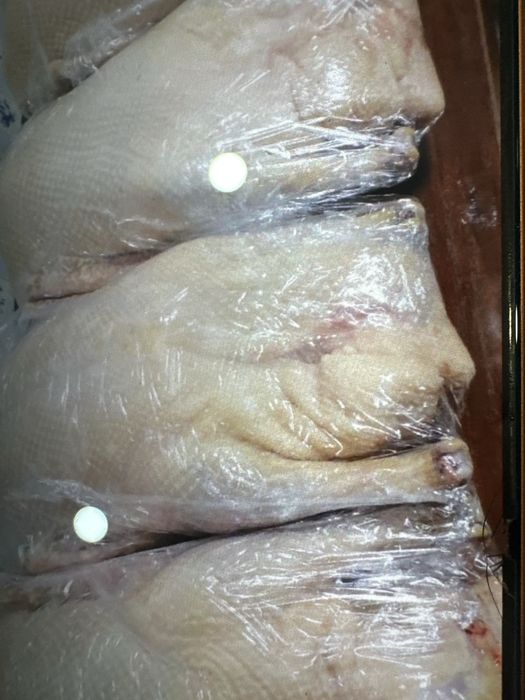 гуси домашние, сочные