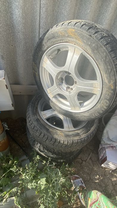 Шины кыскы донгелек