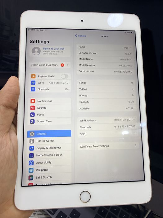 iPad mini 4 16gb gold