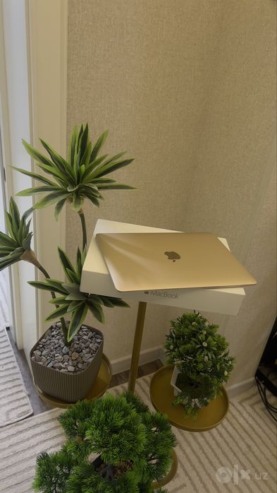 Macbook M 2015.