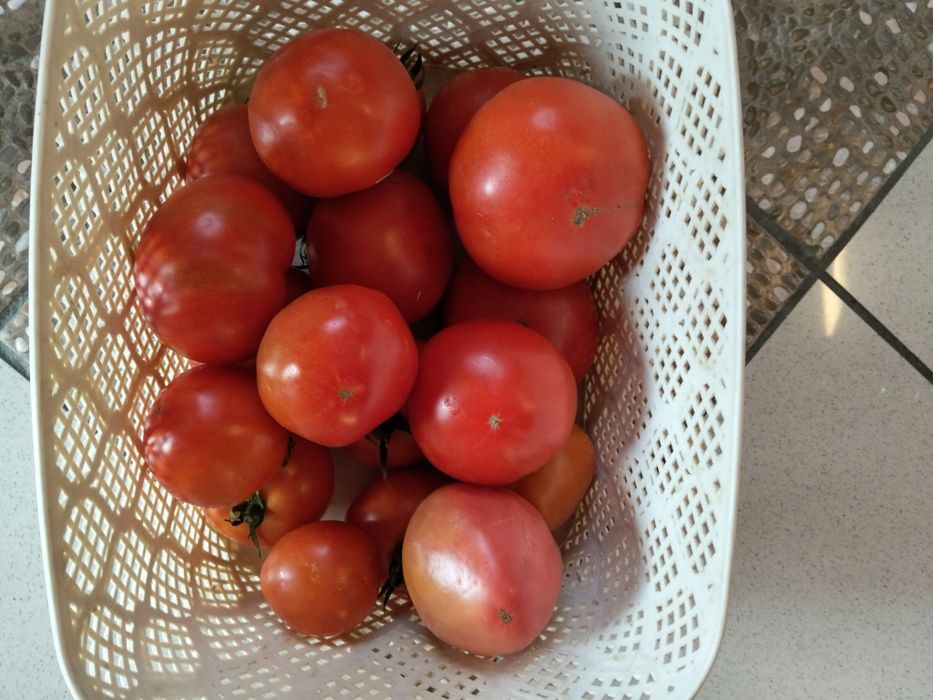 Продам домашние помидоры