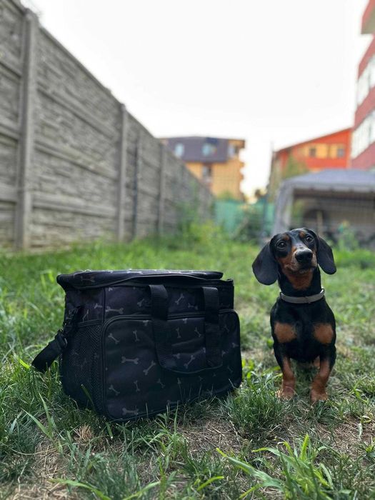 Geanta de calatorie transport animale