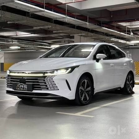 Byd chazor Flagship 120KM full pazitsa
