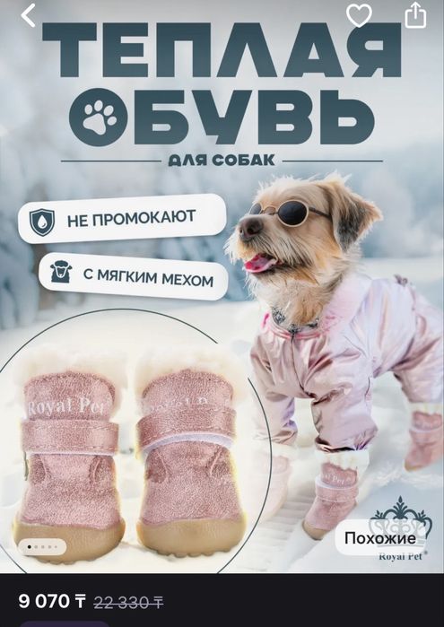 Ботинки для мелких пород собак