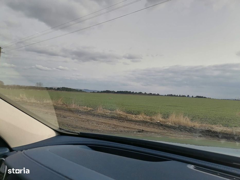Teren Intravilan 10 ha, limitrof Brașov, cu PUZ hala, depozit, reziden