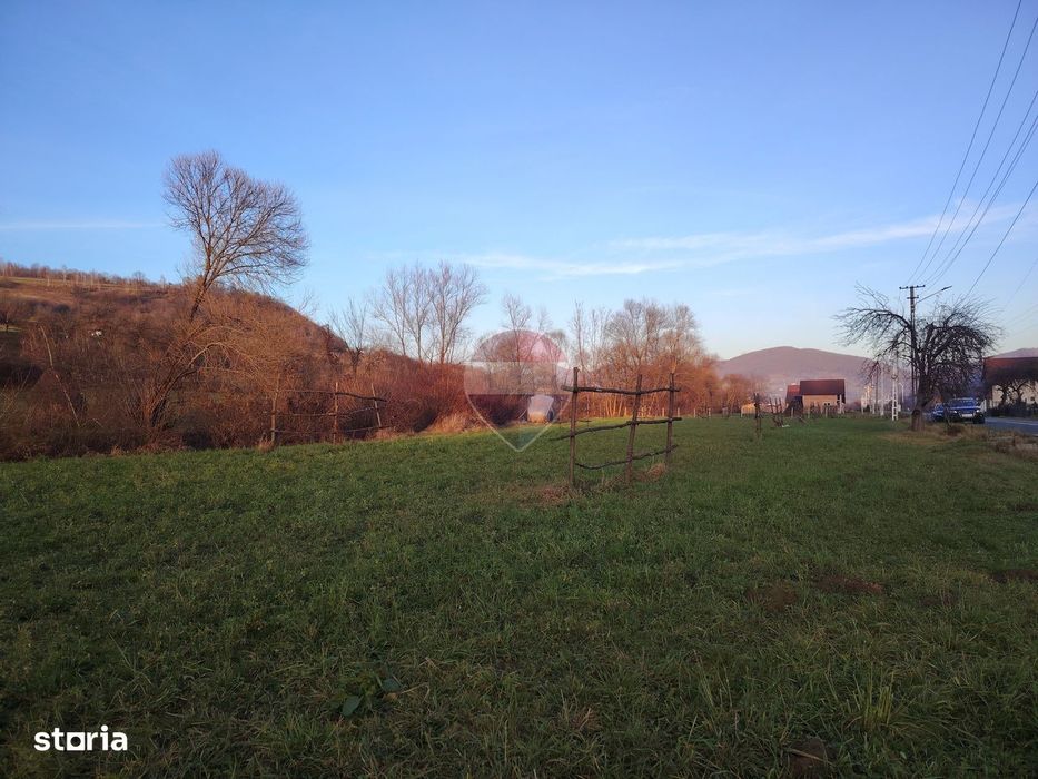 Teren intravilan-2.600 mp în Bârsana | 100 ml deschidere | Comision 0