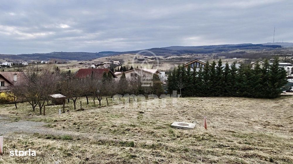 Teren autorizat Borhanci