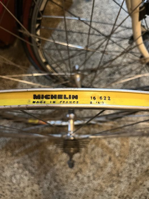 Френски бегач в добро състояние