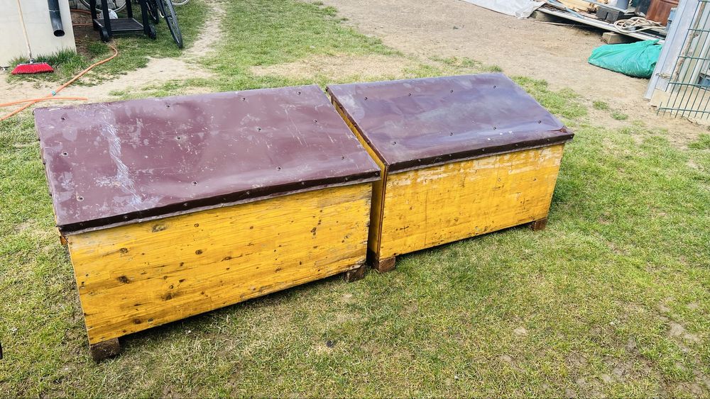 Custi ieppuri 200 bucata