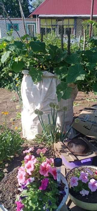 Продам дачу рядом с городом.