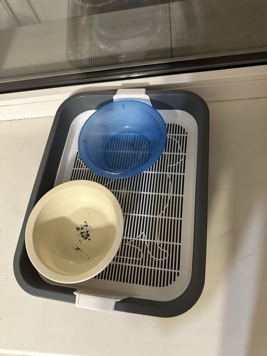 Лоток для кошек с миской