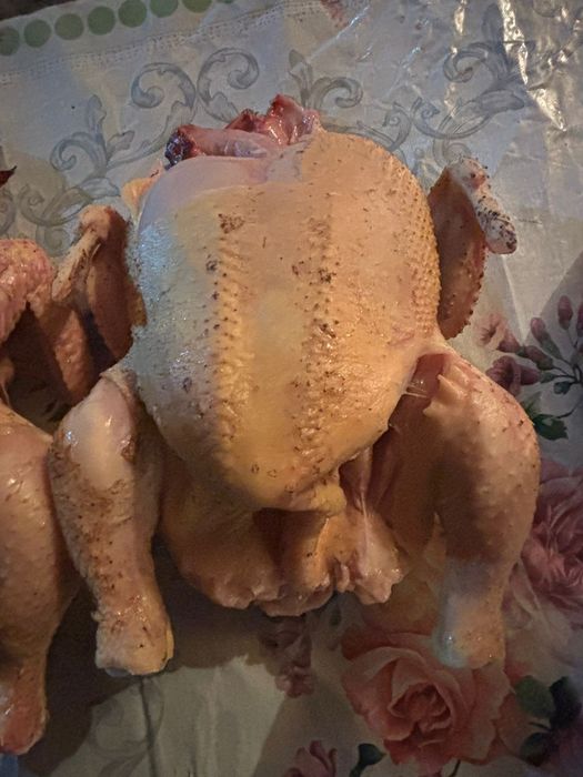 Мясо домашних кур