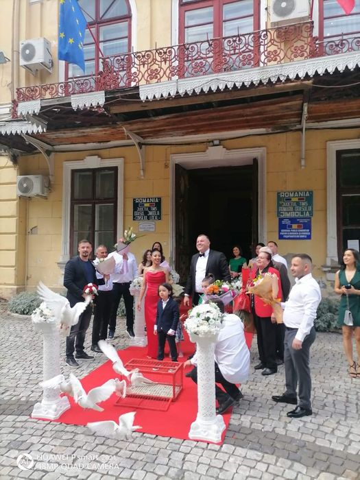 Porumbei evenimente Timișoara